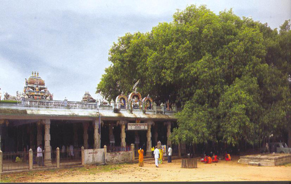 Thekshnamurthy Gurusthalam, Pattamangalam