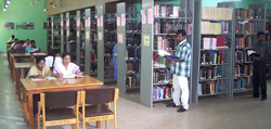 Library View